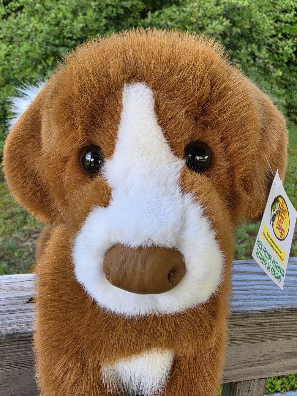 Bass Pro Shops Duck Tolling Retriever Stuffed Dog By Douglas